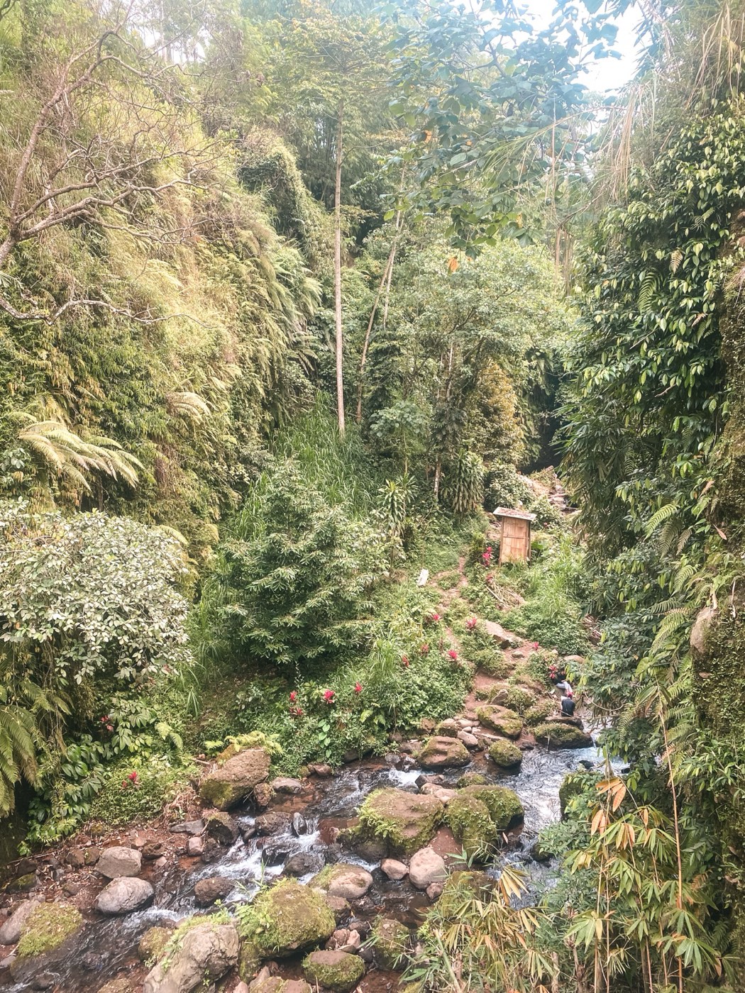 Jungle river gorge on the trail to the waterfalls in Tetebatu